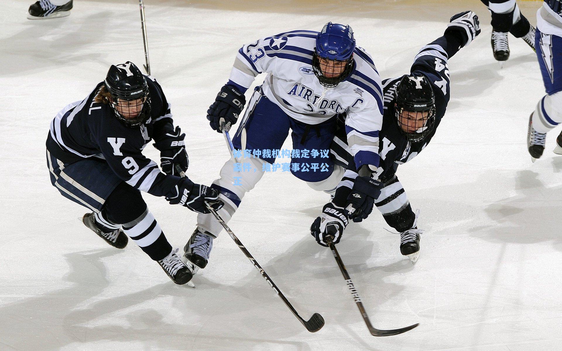 体育仲裁机构裁定争议案件，维护赛事公平公正