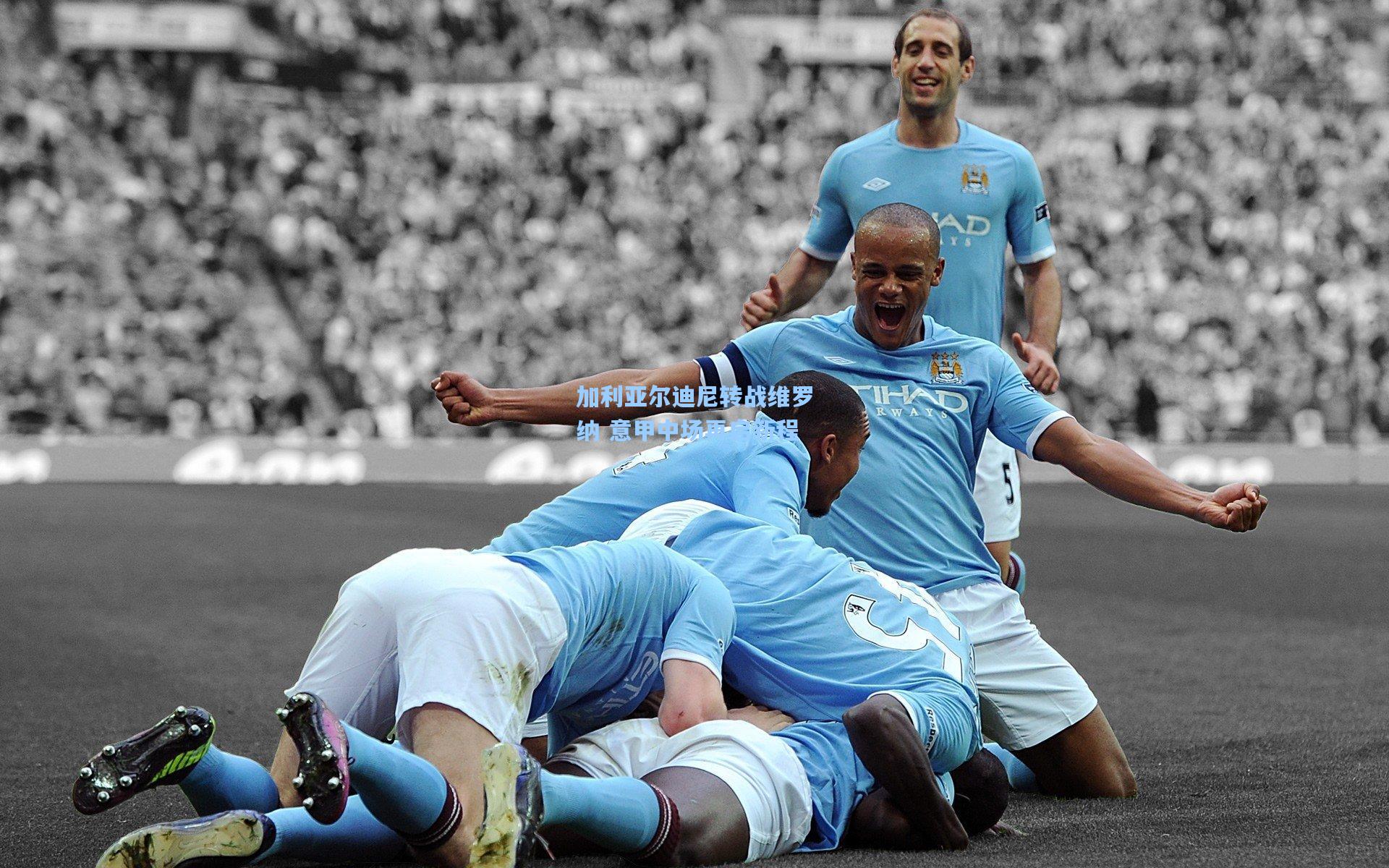 加利亚尔迪尼转战维罗纳 意甲中场再启新程